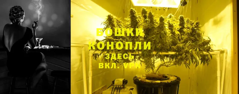 Конопля White Widow  hydra как войти  Алексеевка 